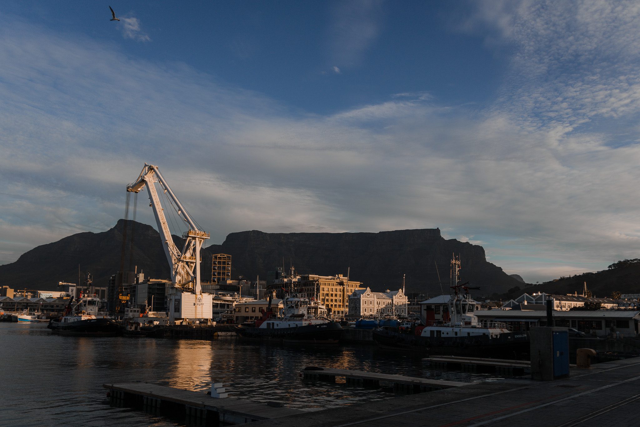 Ultimate Cape Town Travel Guide