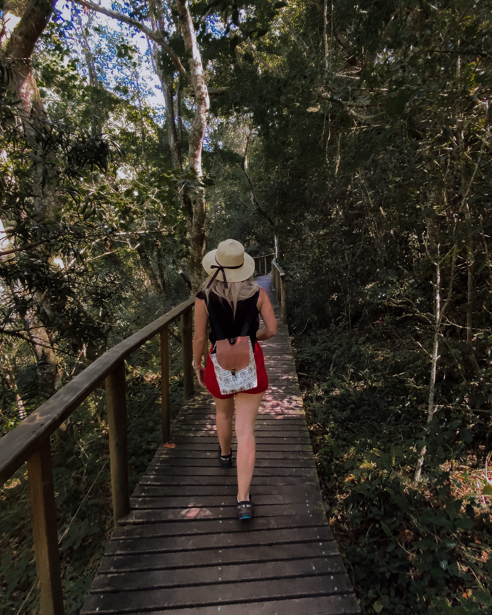 Hiking the Half Collared Kingfisher Trail