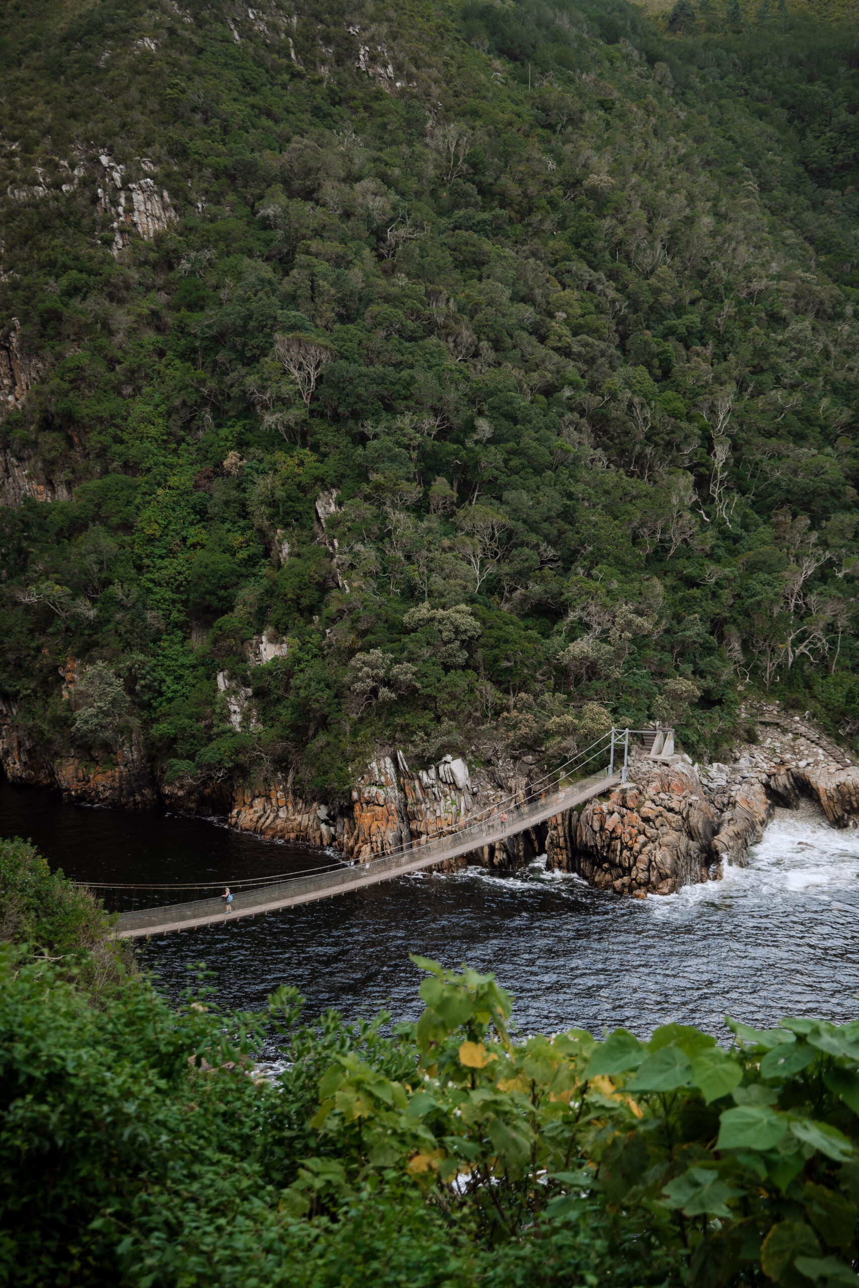 Hiking at the Garden Route National Park | Tsitsikamma