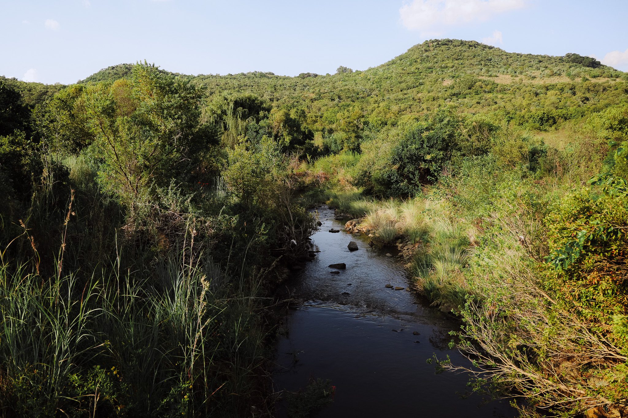 Faerie Glen Nature Reserve in Pretoria