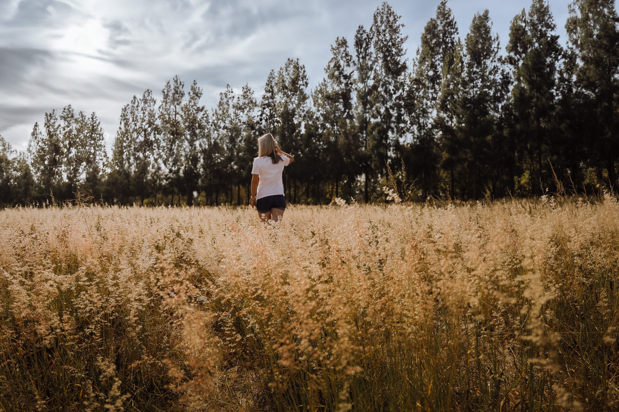 Hiking Trails at Rosemary Hill | Pretoria