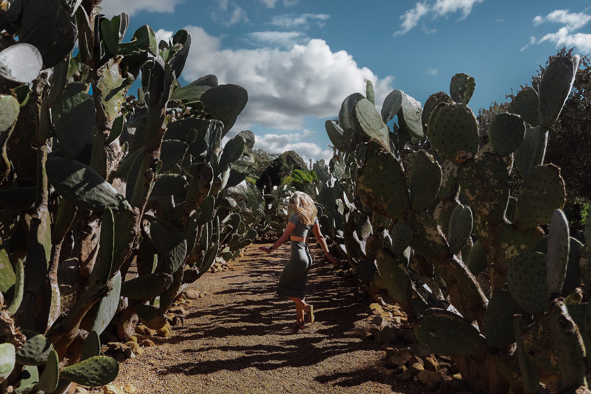 Why you need to visit Babylonstoren