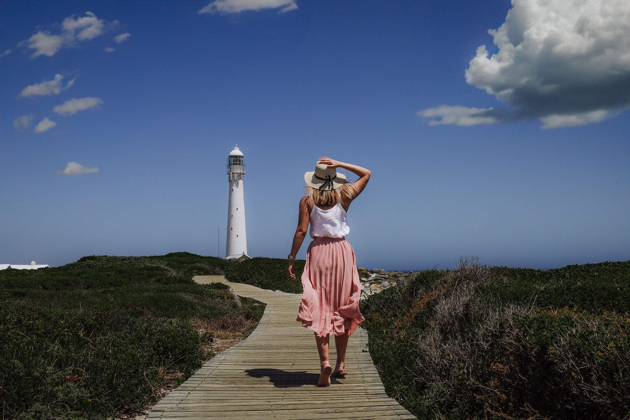 A day trip exploring the Cape Peninsula