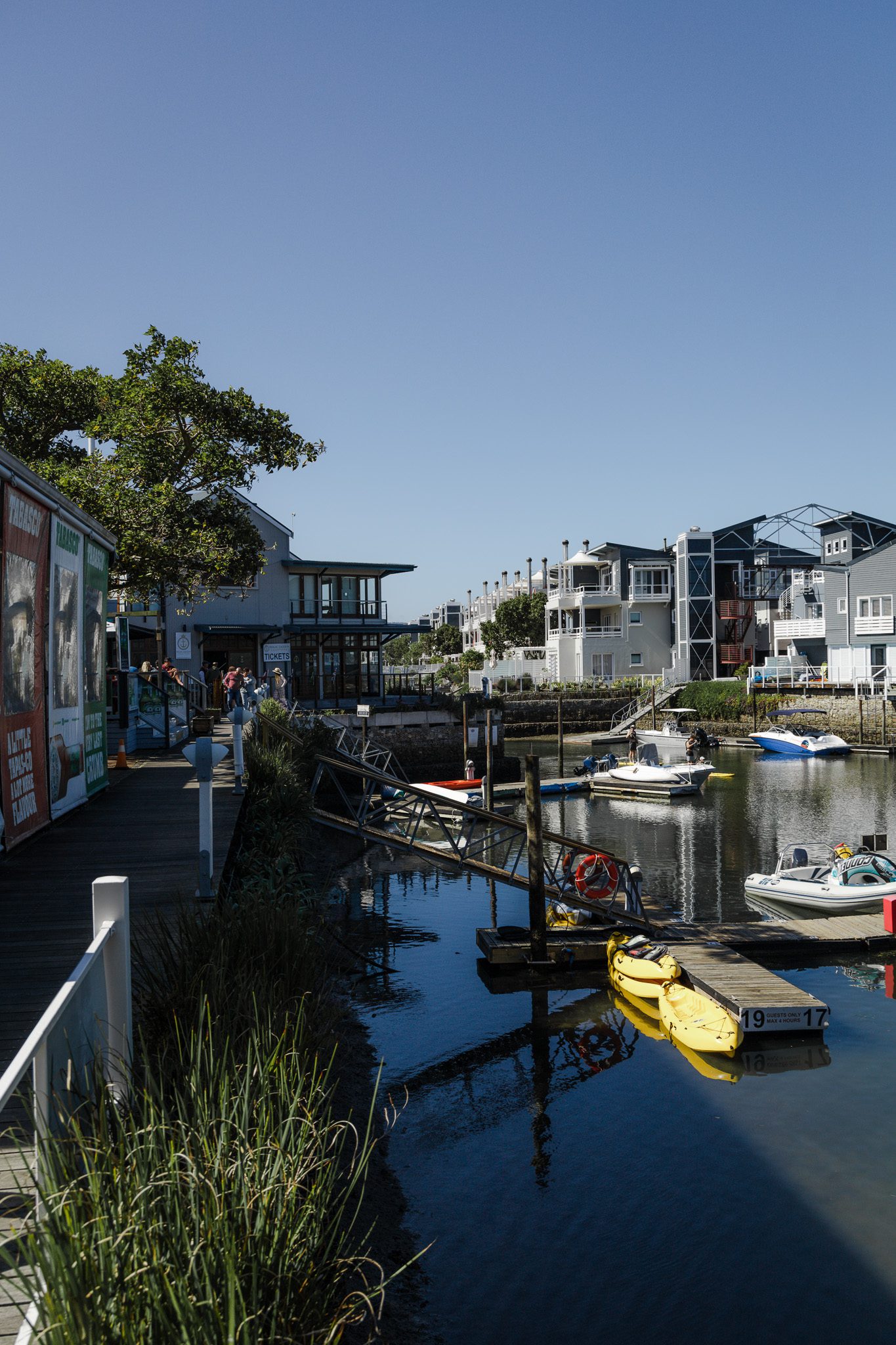 Things to do in Knysna
