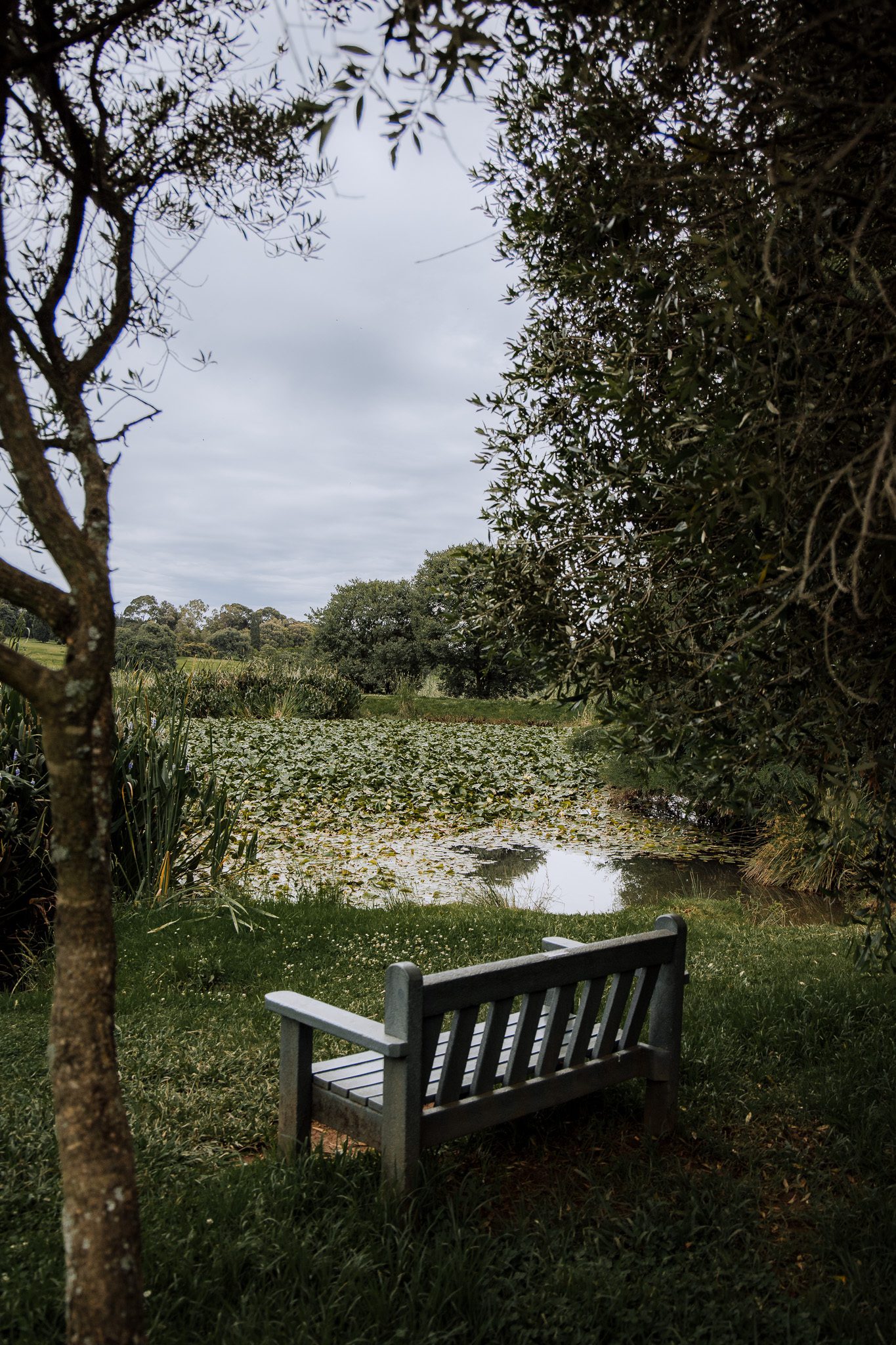 Three Botanical Gardens in Gauteng that is worth visiting.